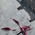 DSC_7653.jpg